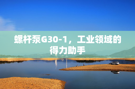 螺杆泵G30-1，工业领域的得力助手