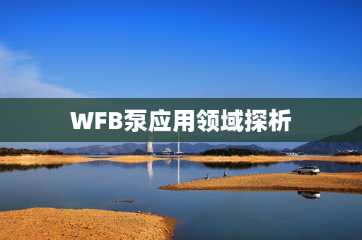 WFB泵应用领域探析