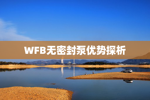 WFB无密封泵优势探析