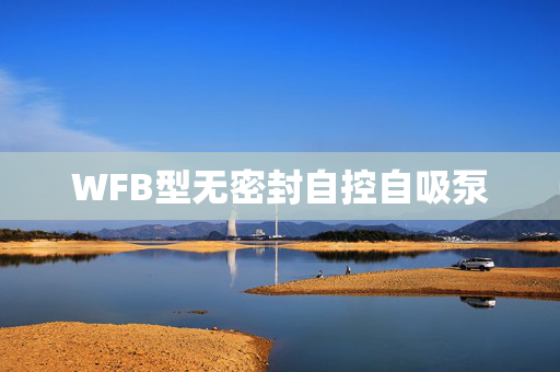 WFB型无密封自控自吸泵