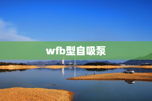 wfb型自吸泵