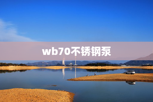 wb70不锈钢泵