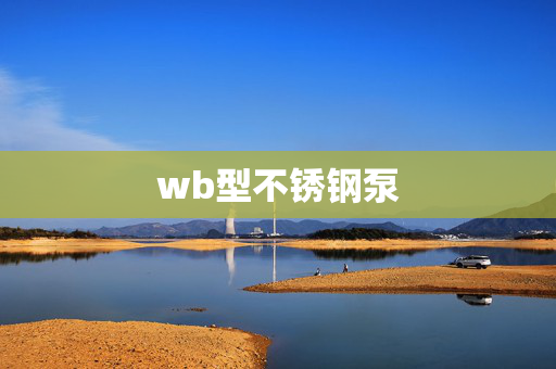 wb型不锈钢泵